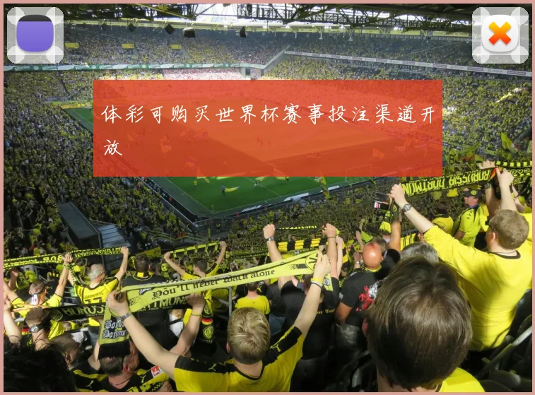 体彩可购买世界杯赛事投注渠道开放