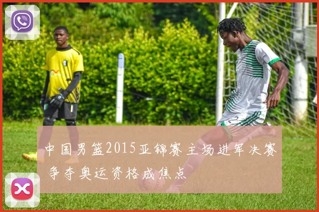 中国男篮2015亚锦赛主场进军决赛 争夺奥运资格成焦点