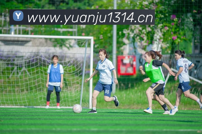 YY易游·体育(中国区)官方网站平台生态图